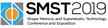 SMST Logo